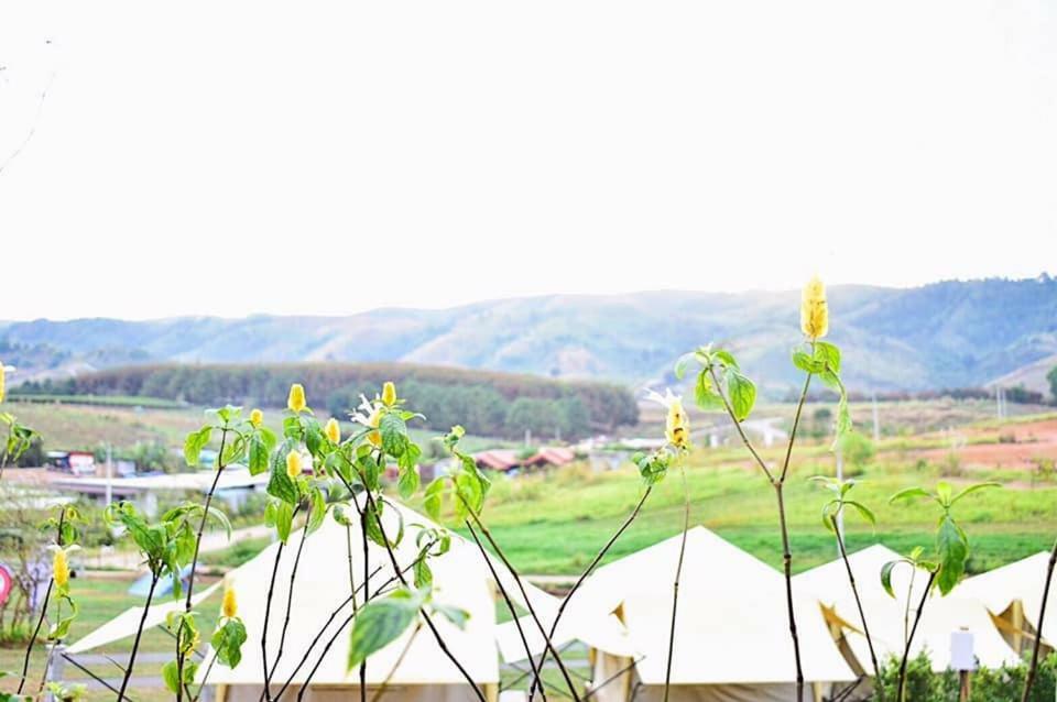 Отель Kondee Cino Cafe & Glamping Кхао-Кхо Экстерьер фото